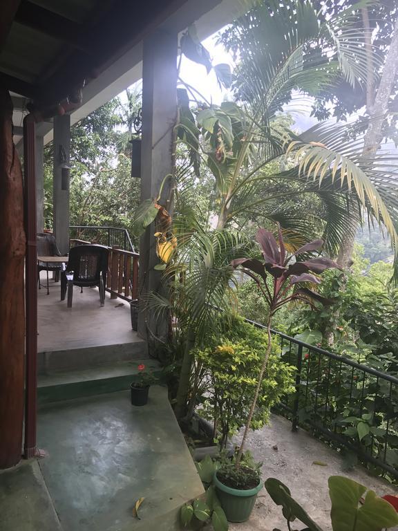 Raveena Guest House Ella Extérieur photo