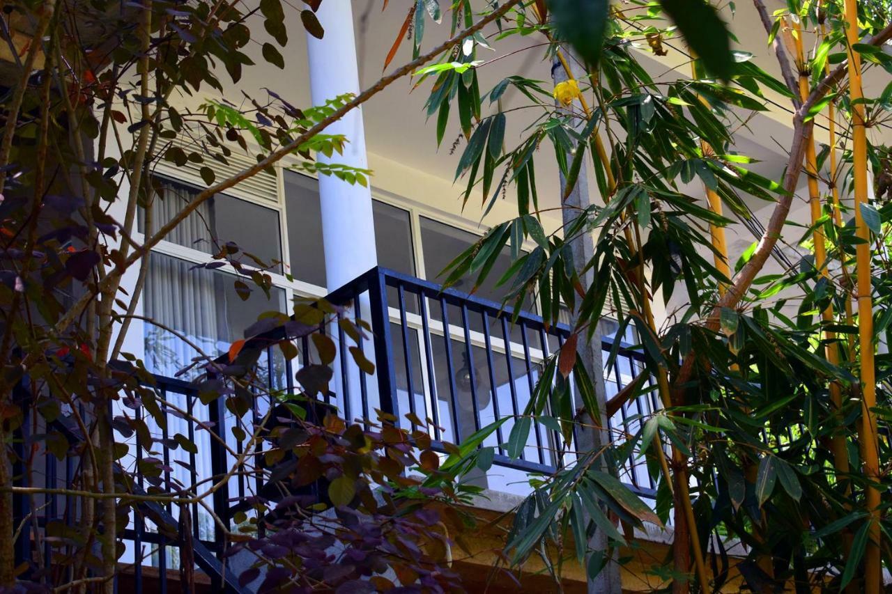 Raveena Guest House Ella Extérieur photo